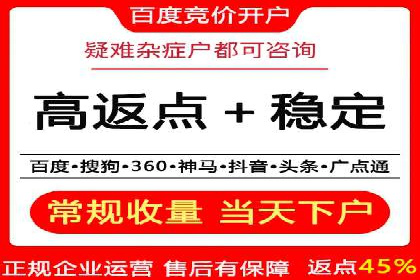 百度竞价公司案例分析：优化策略全解析